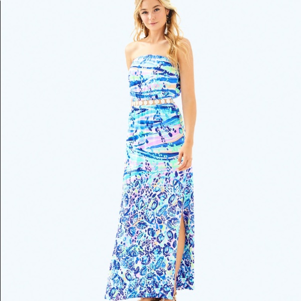 COPY - Lilly Pulitzer maxi dress